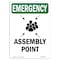 Signmission Safety Sign, OSHA EMERGENCY, 7" Height, Assembly Point, Portrait OS-EM-D-57-V-10428 - alternate 1